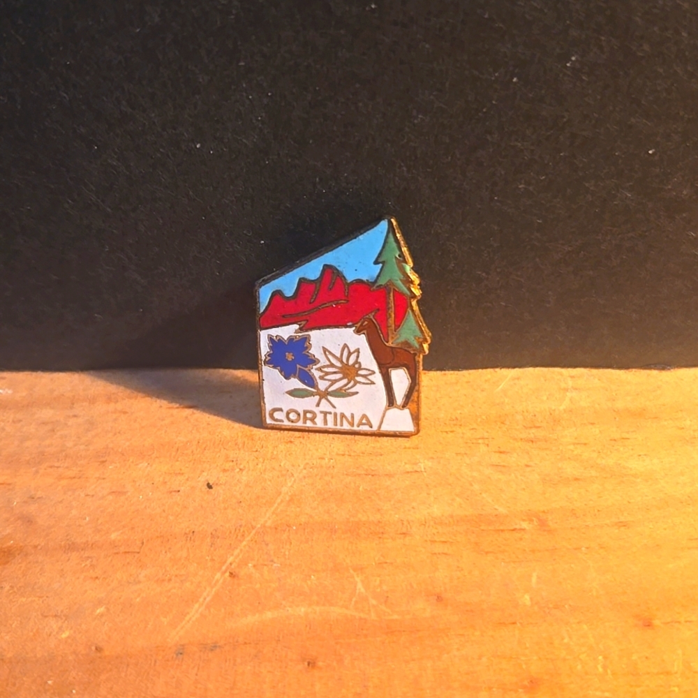 RARE 1960s CORTINA ITALY MOUNTAIN SNOW SKI ENAMEL LAPEL PIN